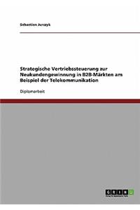 Strategische Vertriebssteuerung Zur Neukundengewinnung in B2b-Märkten