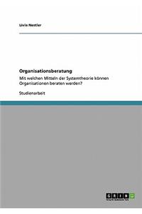 Organisationsberatung