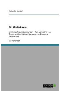 Ein Wintertraum. Das Verhältnis von Traum und Realität des Wanderers in Schuberts 'Winterreise'