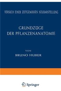 Grundzüge der Pflanzenanatomie