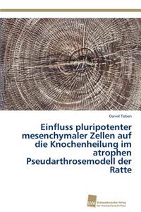 Einfluss pluripotenter mesenchymaler Zellen auf die Knochenheilung im atrophen Pseudarthrosemodell der Ratte