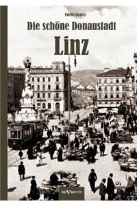 Die schöne Donaustadt Linz. Historischer Reiseführer von 1924 in 33 Photographien