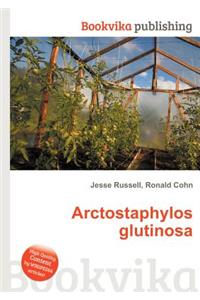 Arctostaphylos Glutinosa