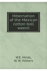 Hibernation of the Mexican Cotton Boll Weevil