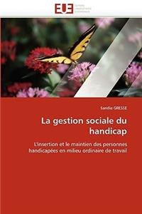 Gestion Sociale Du Handicap