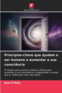 Princípios-chave que ajudam o ser humano a aumentar a sua consciência