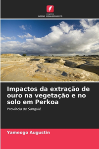 Impactos da extração de ouro na vegetação e no solo em Perkoa