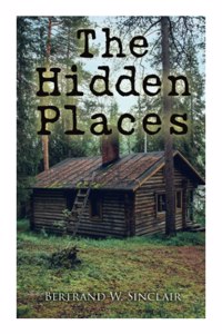 Hidden Places: Post-World War I Novel