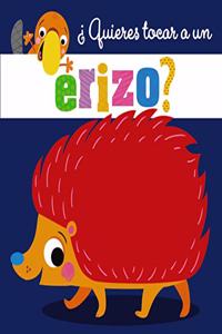 Â¿Quieres tocar a un erizo?
