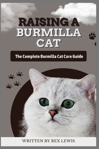 Raising a Burmilla Cat