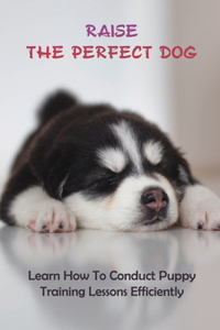 Raise The Perfect Dog