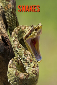 Snakes