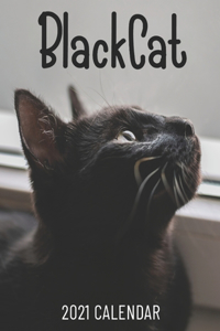 Black Cat