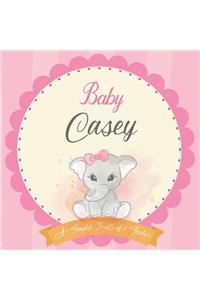 Baby Casey A Simple Book of Firsts