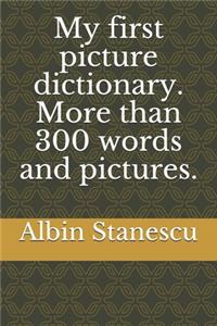 My first picture dictionary. More than 300 words and pictures.