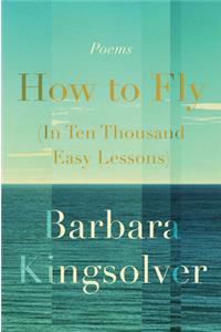 How to Fly (in Ten Thousand Easy Lessons)