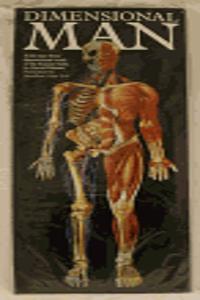 Dimensional Man
