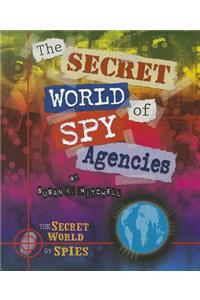 Secret World of Spy Agencies