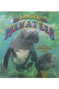 Endangered Manatees