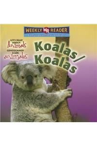 Koalas / Koalas