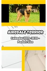 Airedale Terrier Calendar 2019-2020 - Pocket Size
