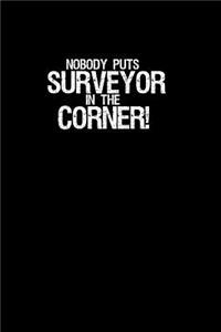 Nobody Puts Surveyor In the Corner