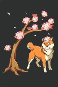 Shiba Inu Hund Japanisches Kirschblüten Sakura Blüten Fest