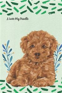 I Love My Poodle
