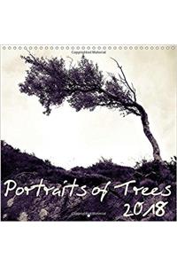 Portraits of Trees 2018 2018