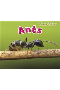 Ants