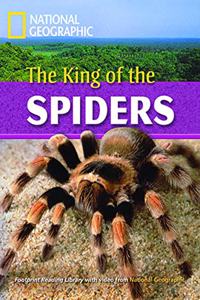 The King of the Spiders + Book with Multi-ROM