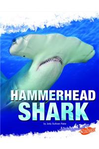 Hammerhead Shark