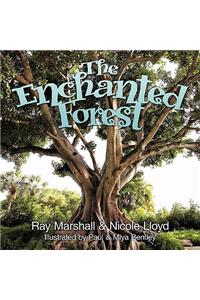 The Enchanted Forest