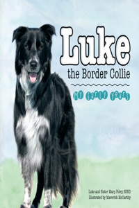 Luke the Border Collie