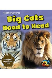 Big Cats Head to Head