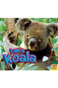 I Am a Koala