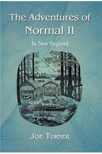 Adventures of Normal II