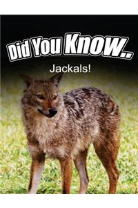 Jackals