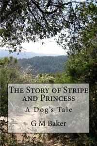 Story of Stripe and Princess