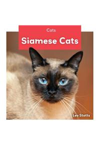Siamese Cats