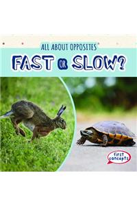 Fast or Slow?