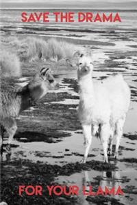 Save the Drama for Your Llama