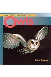 Welcome to the World of Owls