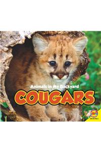 Cougars