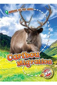 Caribou Migration