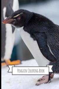 Penguins Coloring Book