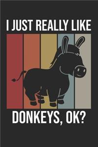 I Just Really Like Donkeys, OK?