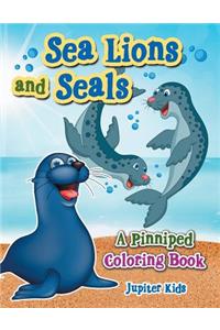 Sea Lions and Seals