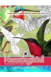 Humming bird coloring book for adults