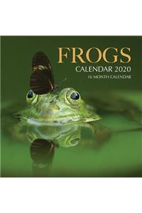 Frogs Calendar 2020